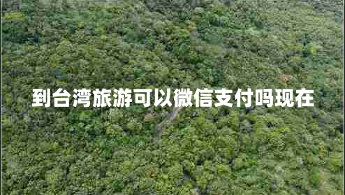 到臺灣旅游可以微信支付嗎現在