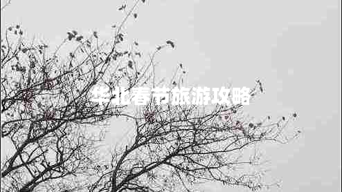 華北春節旅游攻略