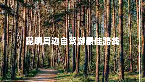 昆明周邊自駕游最佳路線(xiàn)