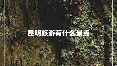 昆明旅游有什么景點(diǎn)
