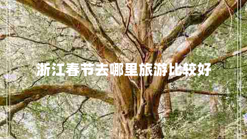 浙江春節去哪里旅游比較好
