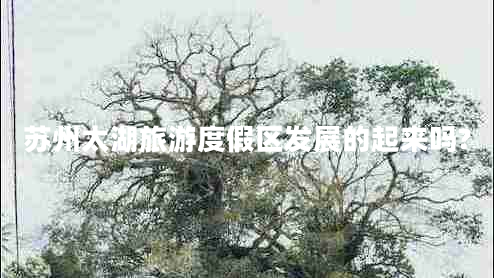 蘇州太湖旅游度假區發(fā)展的起來(lái)嗎?
