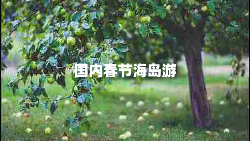 國內春節海島游