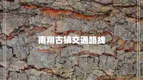 南翔古鎮交通路線(xiàn)