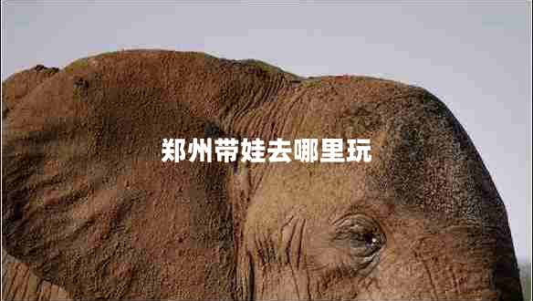 鄭州帶娃去哪里玩