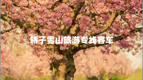 轎子雪山旅游專(zhuān)線(xiàn)客車(chē)