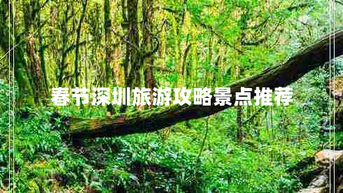 春節深圳旅游攻略景點(diǎn)推薦