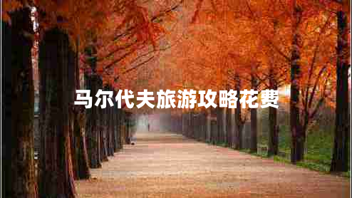 馬爾代夫旅游攻略花費