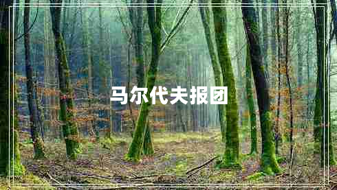 馬爾代夫報團(tuán)