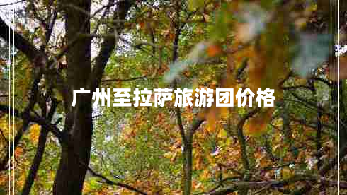 廣州至拉薩旅游團價(jià)格