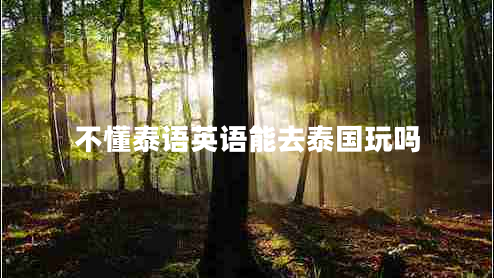 不懂泰語(yǔ)英語(yǔ)能去泰國玩嗎