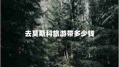 去莫斯科旅游帶多少錢(qián)