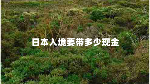 日本入境要帶多少現金