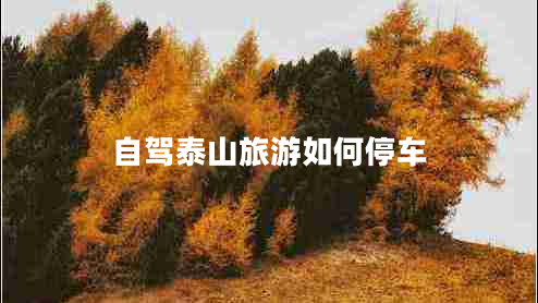 自駕泰山旅游如何停車(chē)