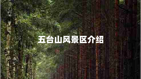 五臺山風(fēng)景區介紹