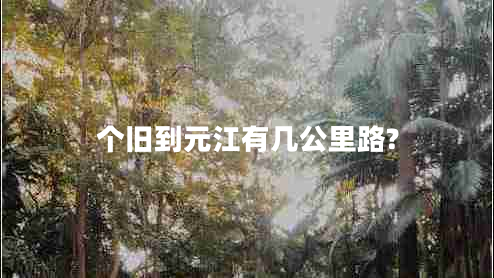 個(gè)舊到元江有幾公里路?