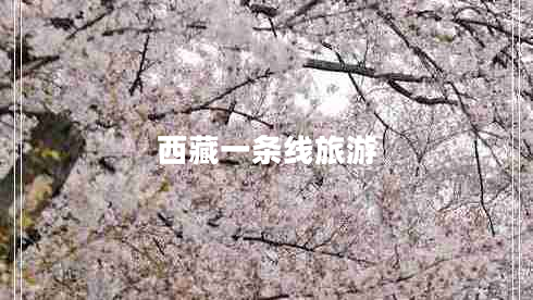 西藏一條線(xiàn)旅游