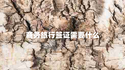 商務(wù)旅行簽證需要什么