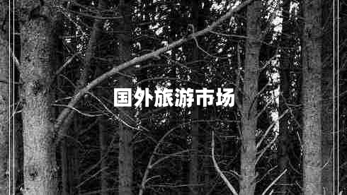 國外旅游市場(chǎng)