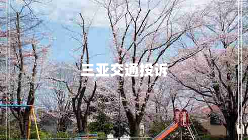 三亞交通投訴