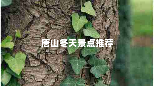 唐山冬天景點(diǎn)推薦