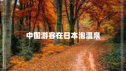 中國游客在日本泡溫泉