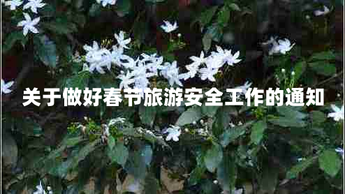 關(guān)于做好春節旅游安全工作的通知