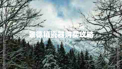 景德鎮瓷器購買(mǎi)攻略