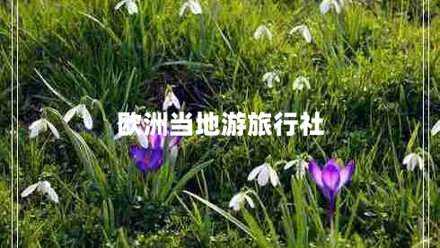歐洲當地游旅行社