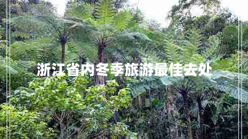 浙江省內冬季旅游最佳去處