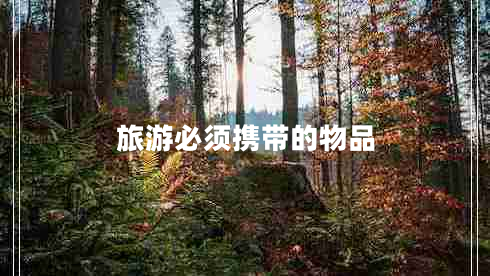 旅游必須攜帶的物品