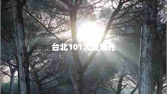 臺北101大廈觀(guān)光