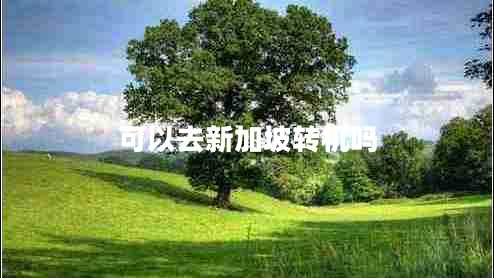 可以去新加坡轉機嗎