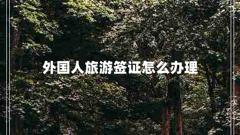 外國人旅游簽證怎么辦理