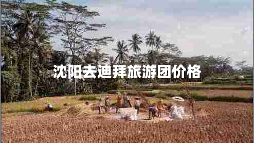 沈陽(yáng)去迪拜旅游團價(jià)格