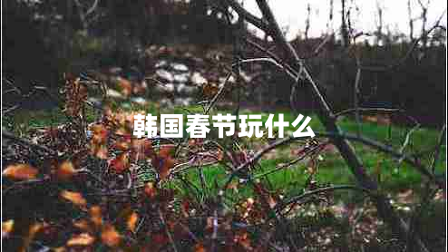 韓國春節玩什么