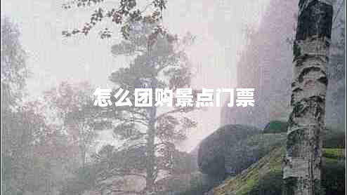 怎么團購景點(diǎn)門(mén)票