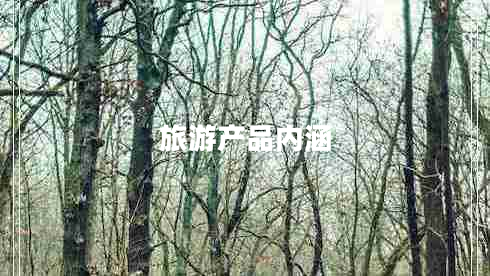 旅游產(chǎn)品內涵