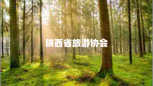 陜西省旅游協(xié)會(huì )