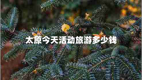 太原今天活動(dòng)旅游多少錢(qián)