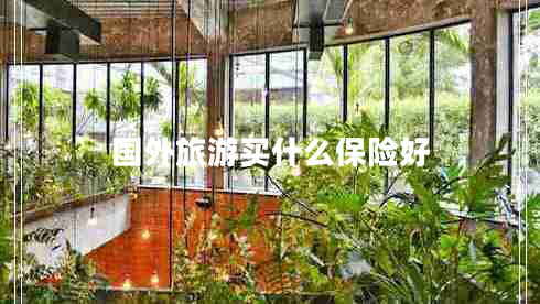國外旅游買(mǎi)什么保險好