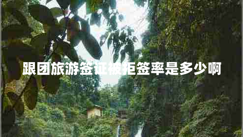 跟團旅游簽證被拒簽率是多少啊
