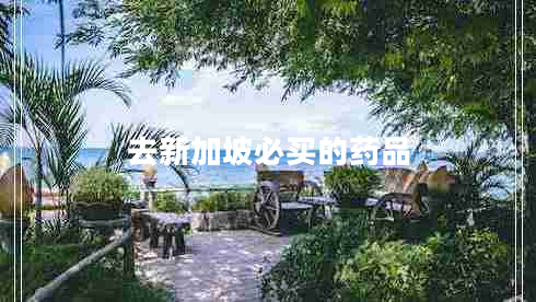 去新加坡必買(mǎi)的藥品