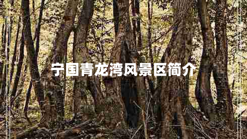 寧國青龍灣風(fēng)景區簡(jiǎn)介