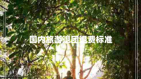 國內旅游退團退費標準