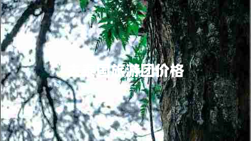去泰國旅游團價(jià)格