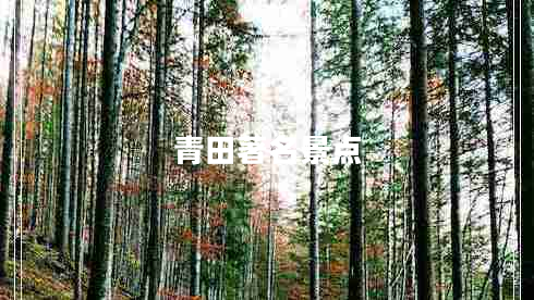 青田著(zhù)名景點(diǎn)