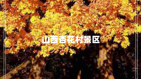 山西杏花村景區