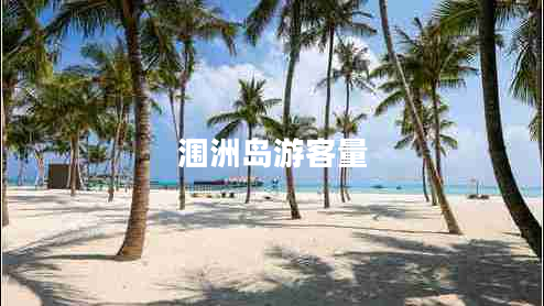 潿洲島游客量