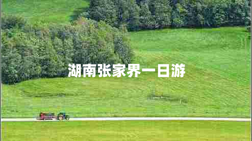 湖南張家界一日游
